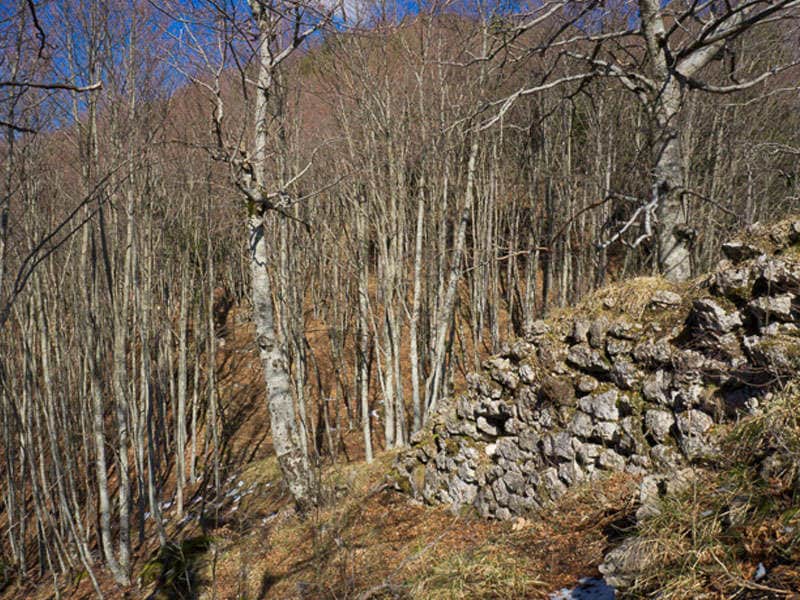 Dajti Castle